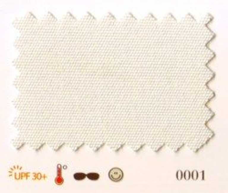 0001