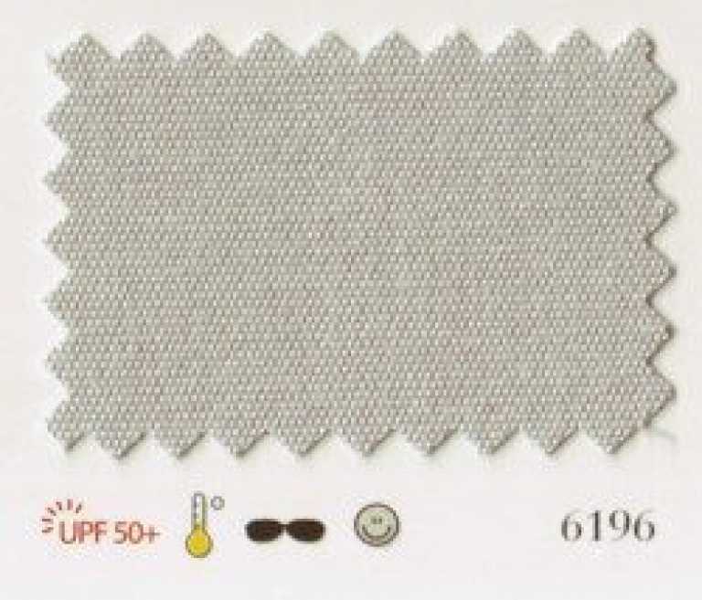 6196